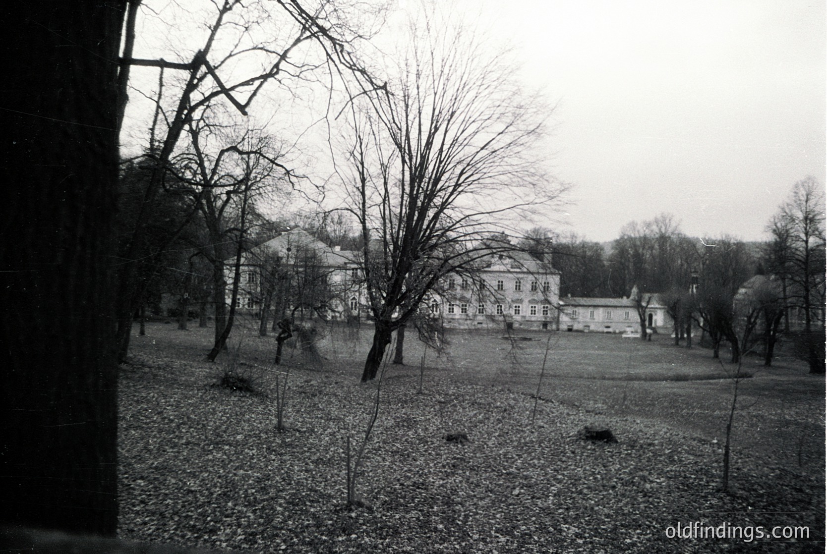 Neoclassical estate viewed through a window, framed by bare winter trees. Symmetrical façade with domed roof and arched windows, surrounded by open grassy grounds. Likely Eastern European, mid-20th century.