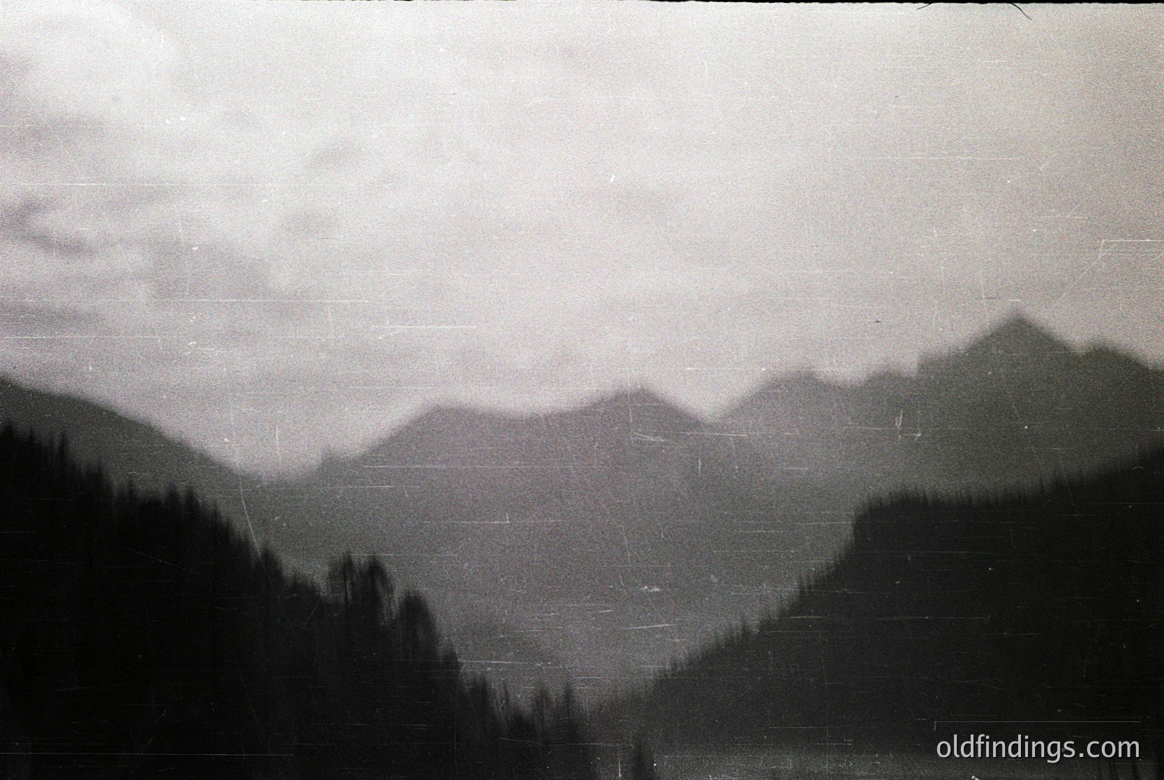 Vintage black-and-white mountain landscape with dense coniferous forest in foreground. Mist or low clouds obscure mid-range peaks, creating atmospheric depth. Likely early-to-mid 20th century due to grain and contrast.