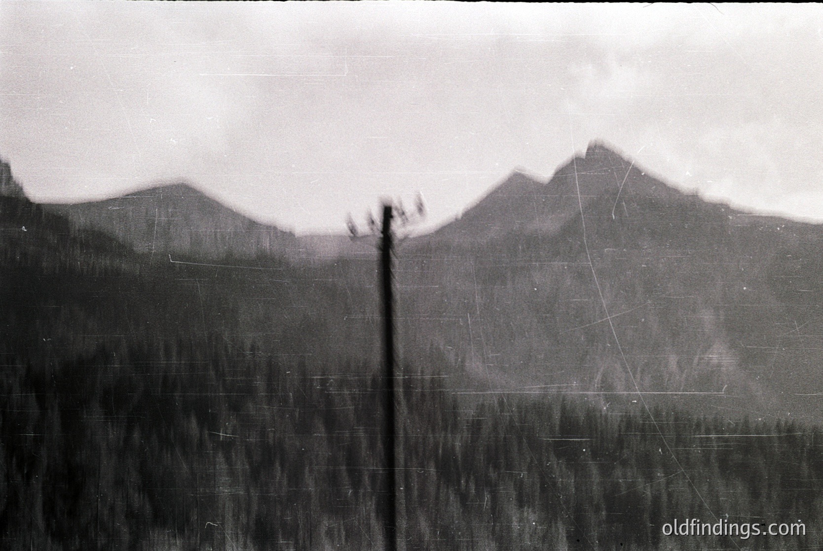 Vintage black-and-white mountain landscape with dense forest foreground. Distinctive jagged peaks and misty valleys suggest alpine terrain. Vertical power line pole in lower left. Likely early-to-mid 20th century due to grainy texture and monochrome.