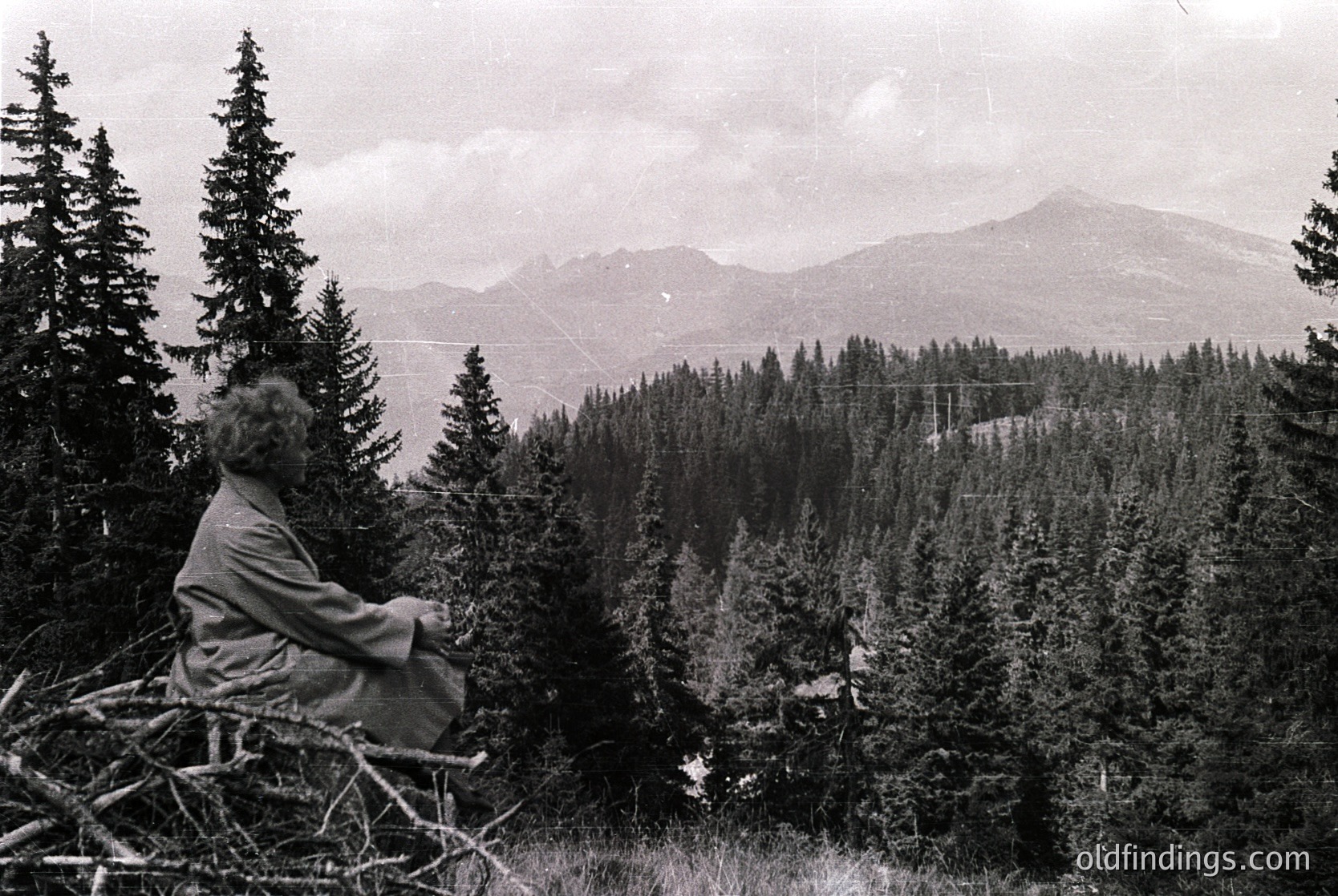 Black-and-white alpine portrait of a seated man in mid-20th century attire, surrounded by dense coniferous forest. Snow-capped peaks rise in the background, suggesting a high-altitude European location. Mid-century outdoor photography captures rugged natural beauty and contemplative solitude.