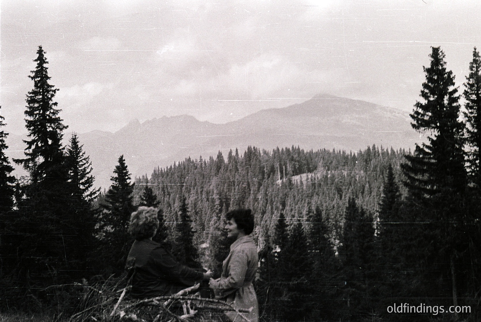 Two individuals in mid-20th-century attire stand on a forested alpine ridge, framed by dense coniferous trees. The distant mountain range and cloudy sky suggest a high-altitude European location, likely the Alps or Carpathians. Mid-century outdoor fashion () and rugged natural scenery () dominate.