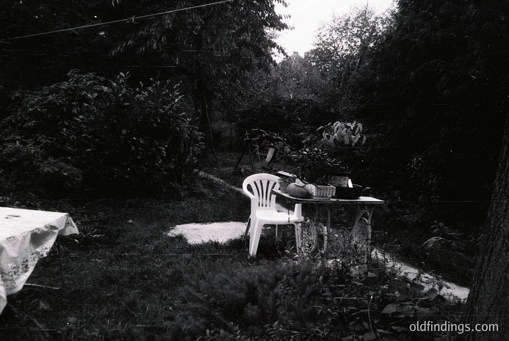 Vintage black-and-white shot of a lone plastic chair and table set in a dense, overgrown garden. The scene evokes mid-century outdoor dining nostalgia, possibly or . Natural light filters through foliage, creating soft shadows.