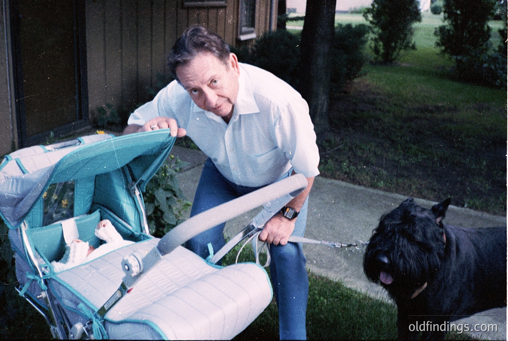 Vintage 1970s-era woman pushing a classic blue/green stroller with a baby inside, standing on a residential sidewalk. A black dog sits attentively beside her. Mid-century suburban home and greenery in background.