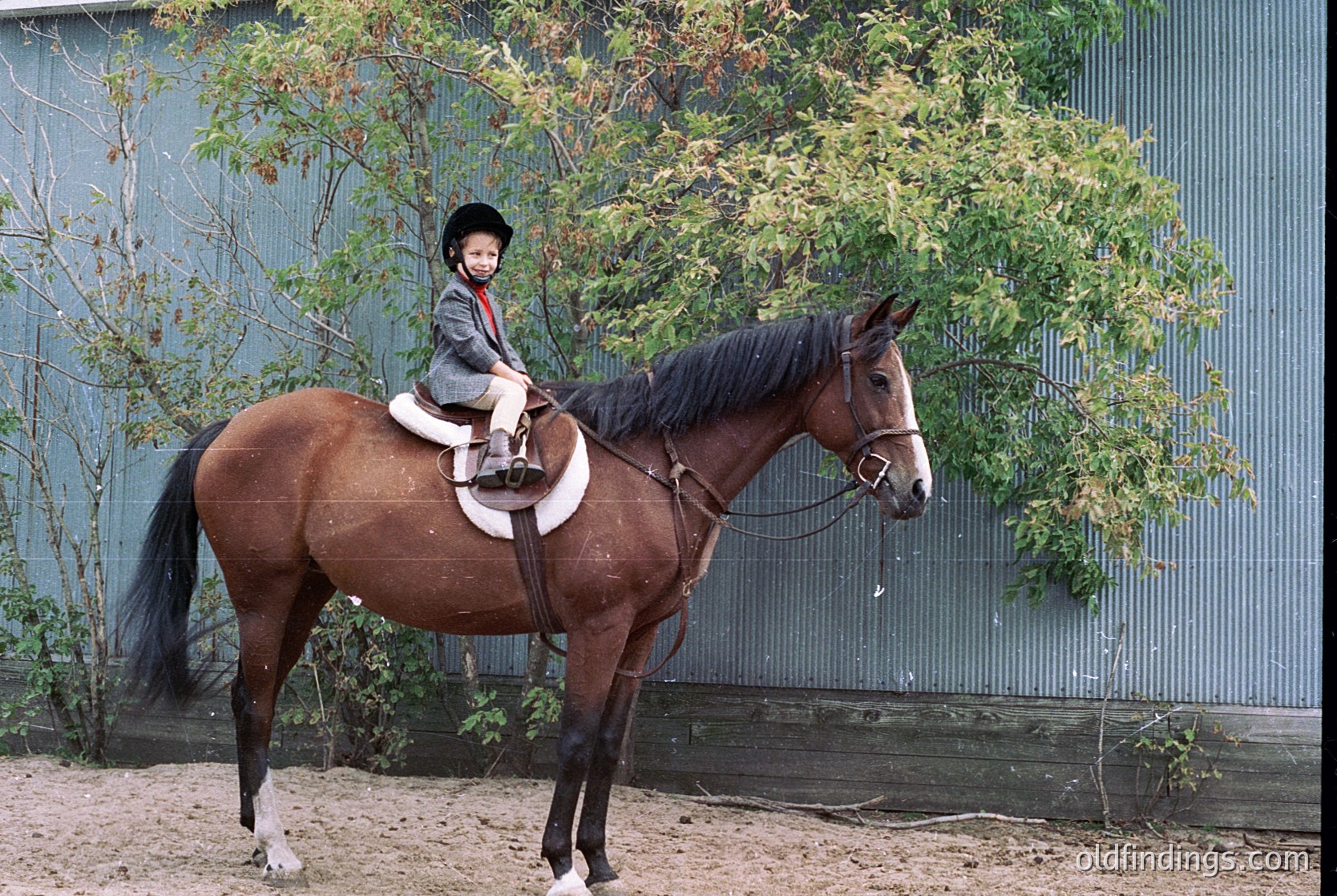 Young rider in traditional equestrian gear atop a brown horse, standing on sandy ground beside a metal fence and greenery. Classic riding attire suggests formal instruction or competition.