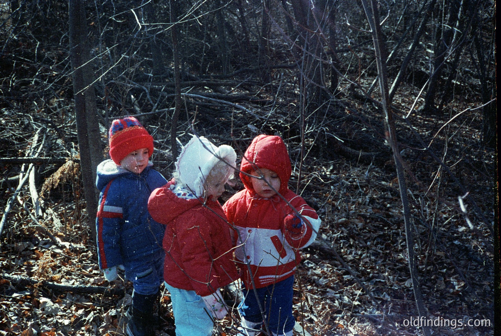 Three children in winter attire explore a wooded area, bundled in red and blue jackets with knit hats. Snow lingers on branches and ground, suggesting early spring or late autumn. Clothing suggests 1970s–1980s style.