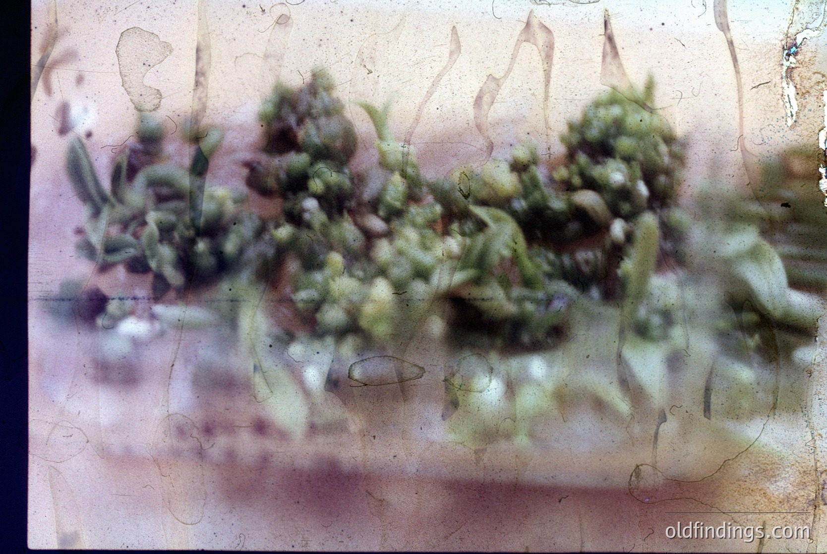 Vintage close-up of lichen-covered stonework, likely part of a historic or industrial structure. Surface shows signs of aging, with visible cracks and weathering. Possible or early architecture. Useful for , , and research.