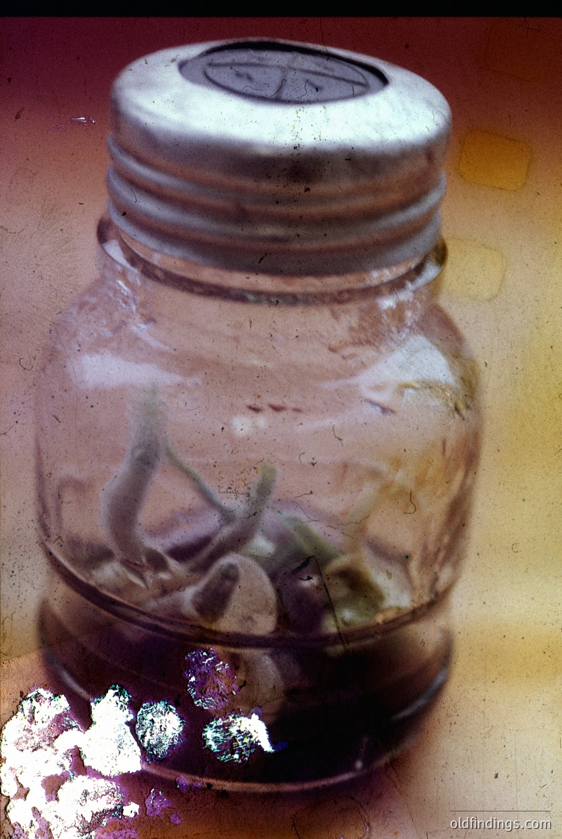 Vintage glass jar with metal lid, containing preserved dried herbs or plant fragments. Surface shows minor wear and discoloration, suggesting age. Possible mid-20th century domestic or medicinal use.