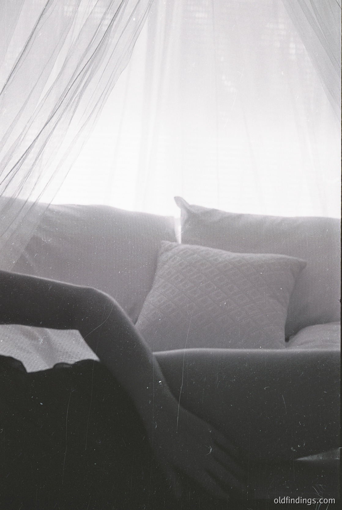 Vintage photograph