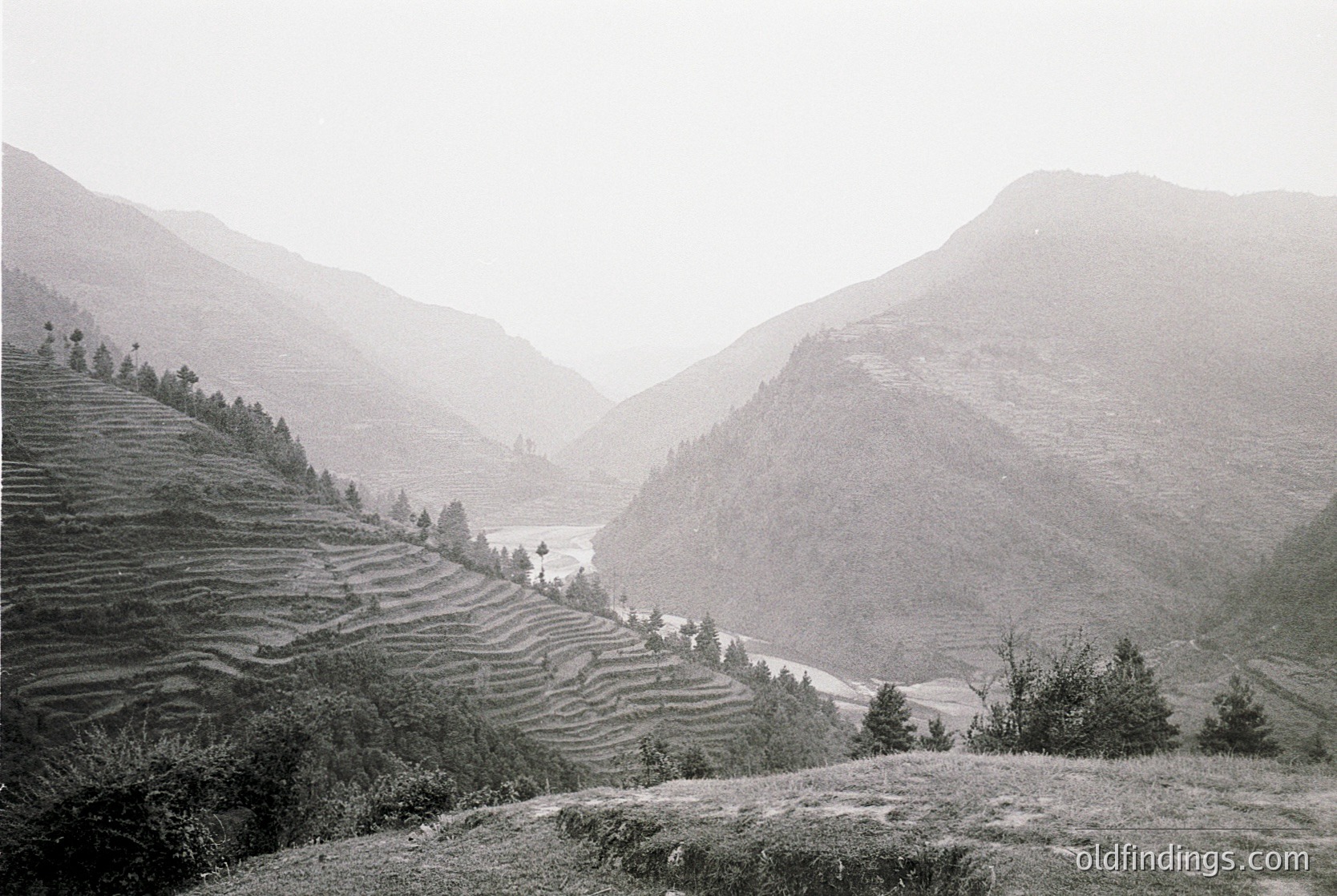 Terrace farming carved into steep slopes alongside a misty valley, framed by rugged mountains. Black-and-white vintage aesthetic suggests mid-20th century agricultural practices in a highland region.