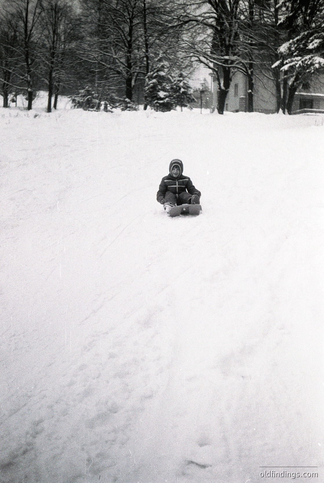 Child sledding on a snow-covered slope in a wooded park. Snow-laden evergreens frame the scene, with a residential area visible in the background. Mid-20th century winter play captured.