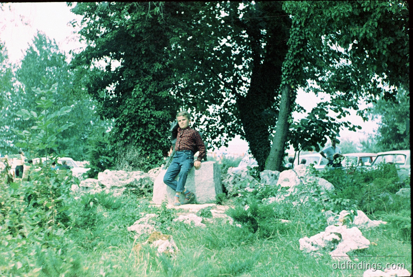 Young man in 1970s-style plaid shirt and jeans poses atop stone wall in lush, green park setting. Vibrant foliage and mature trees frame the scene, suggesting a mid-century outdoor lifestyle.