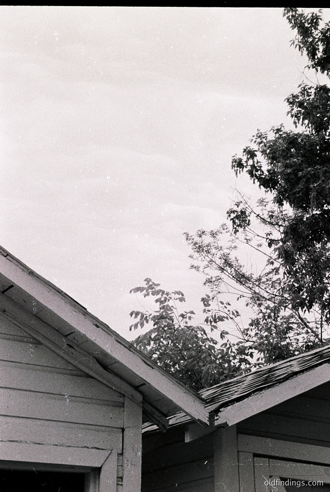 Vintage black-and-white shot of a weathered wooden house corner with exposed roof trusses and overhanging branches. The rough planks and aged paint suggest mid-20th century rural architecture.