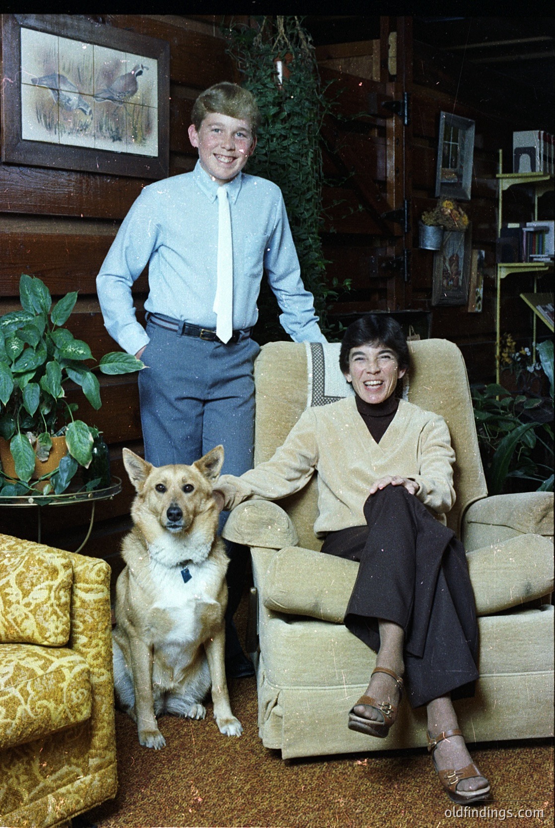 A mid-20th-century indoor portrait featuring a man in a light blue dress shirt and tie standing beside a woman in a beige blazer and dark skirt. A small corgi-style dog sits attentively between them. The setting includes vintage furniture—armchairs with floral upholstery, a potted plant, and a framed bird illustration on the wall. Likely or American domestic life.