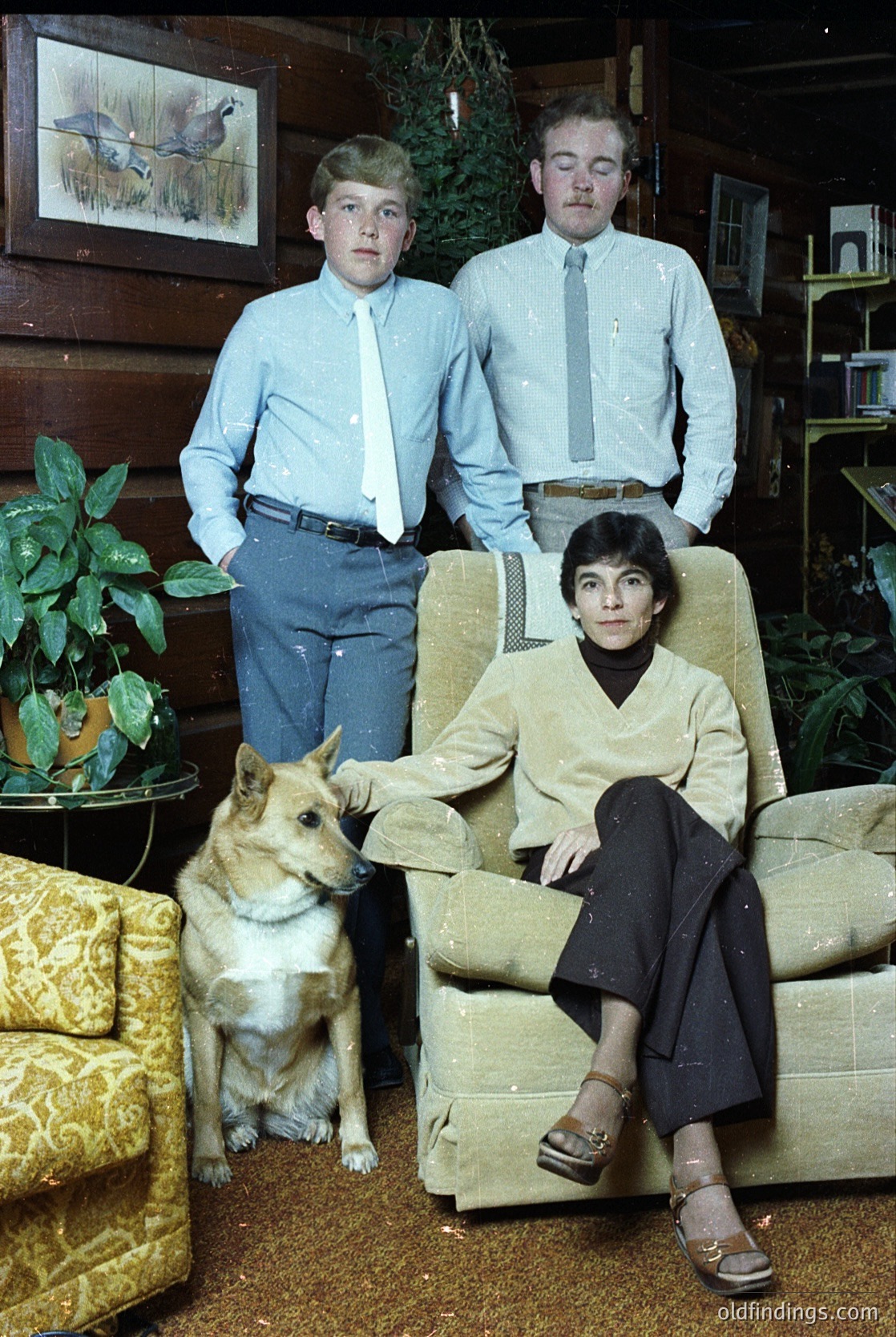 Family portrait from the **1960s–1970s**, featuring three individuals and a dog in a cozy indoor setting. The man and boy wear light blue button-down shirts with ties, while the woman sits in a patterned armchair with a cream blouse and dark trousers. Decor includes vintage wall art, potted plants, and a wooden interior. Ideal for nostalgic or historical research.
