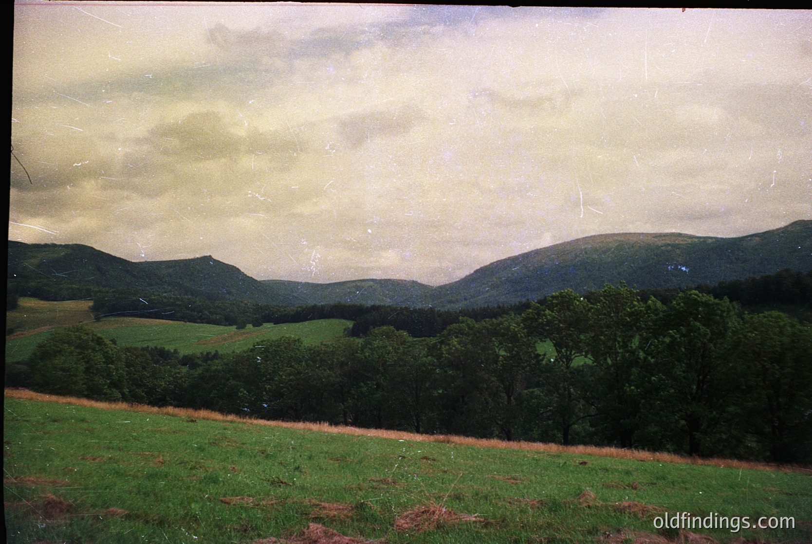 Vintage landscape shot of rolling hills and dense forest under overcast skies. Green meadows dominate the foreground with scattered trees. Likely Eastern European countryside, mid-20th century.