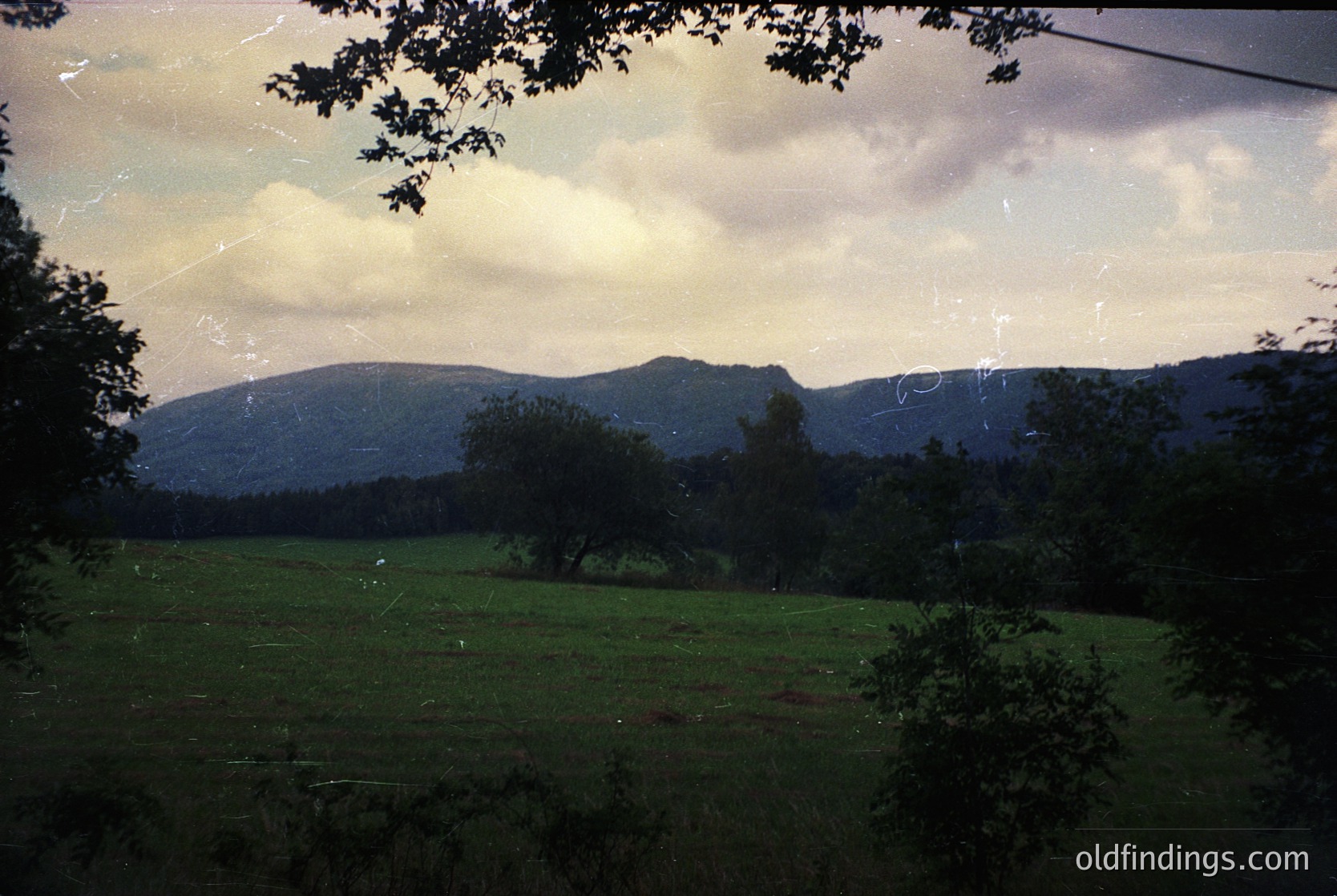Vintage sepia-toned landscape with lush green meadows, dense forest, and rolling hills under dramatic skies. Evidence of aged film grain and slight damage. Likely mid-20th century rural European countryside.