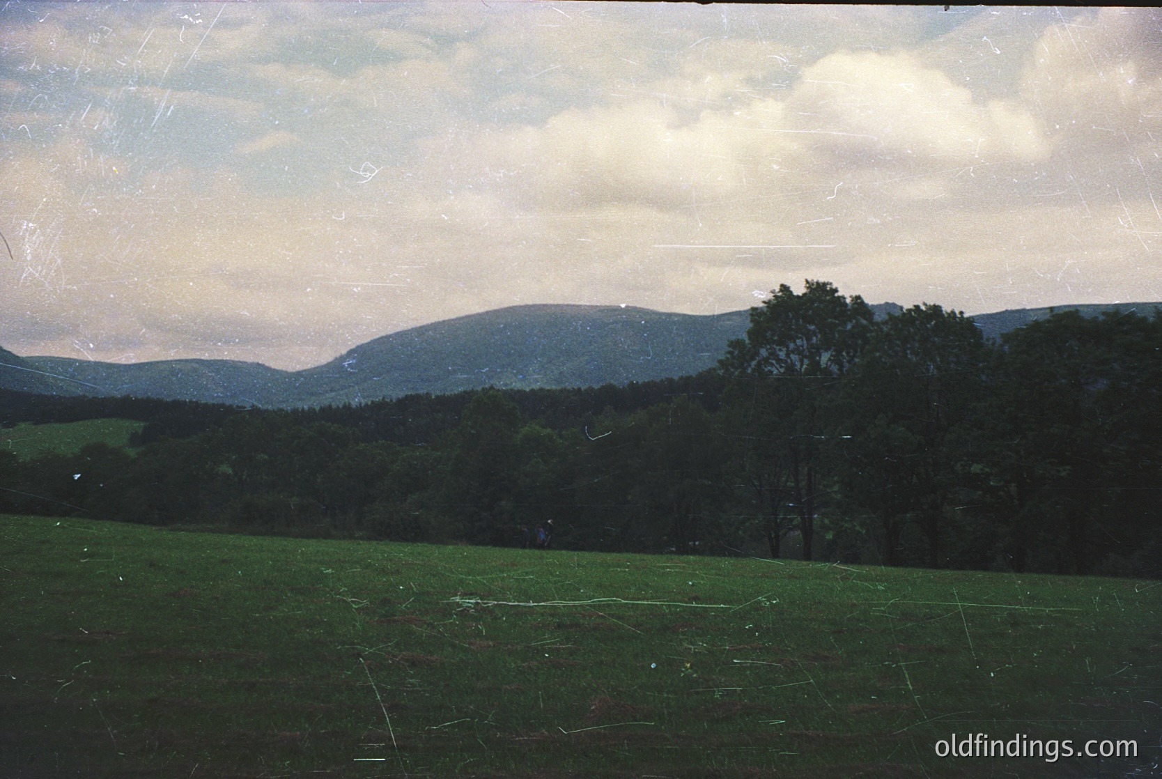 Vintage landscape shot featuring rolling hills, dense forest, and open meadow under soft, diffused light. Evidence of film grain and slight color shift suggests 1970s–1980s analog photography. Ideal for nostalgic or historical design references.