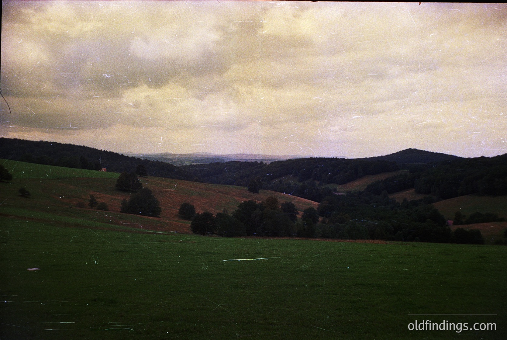 Vintage landscape shot of rolling hills and pastures under overcast skies, likely mid-20th century. Distinctive patchwork fields and scattered trees suggest rural agricultural land. Sepia-toned film grain enhances nostalgic, timeless quality.