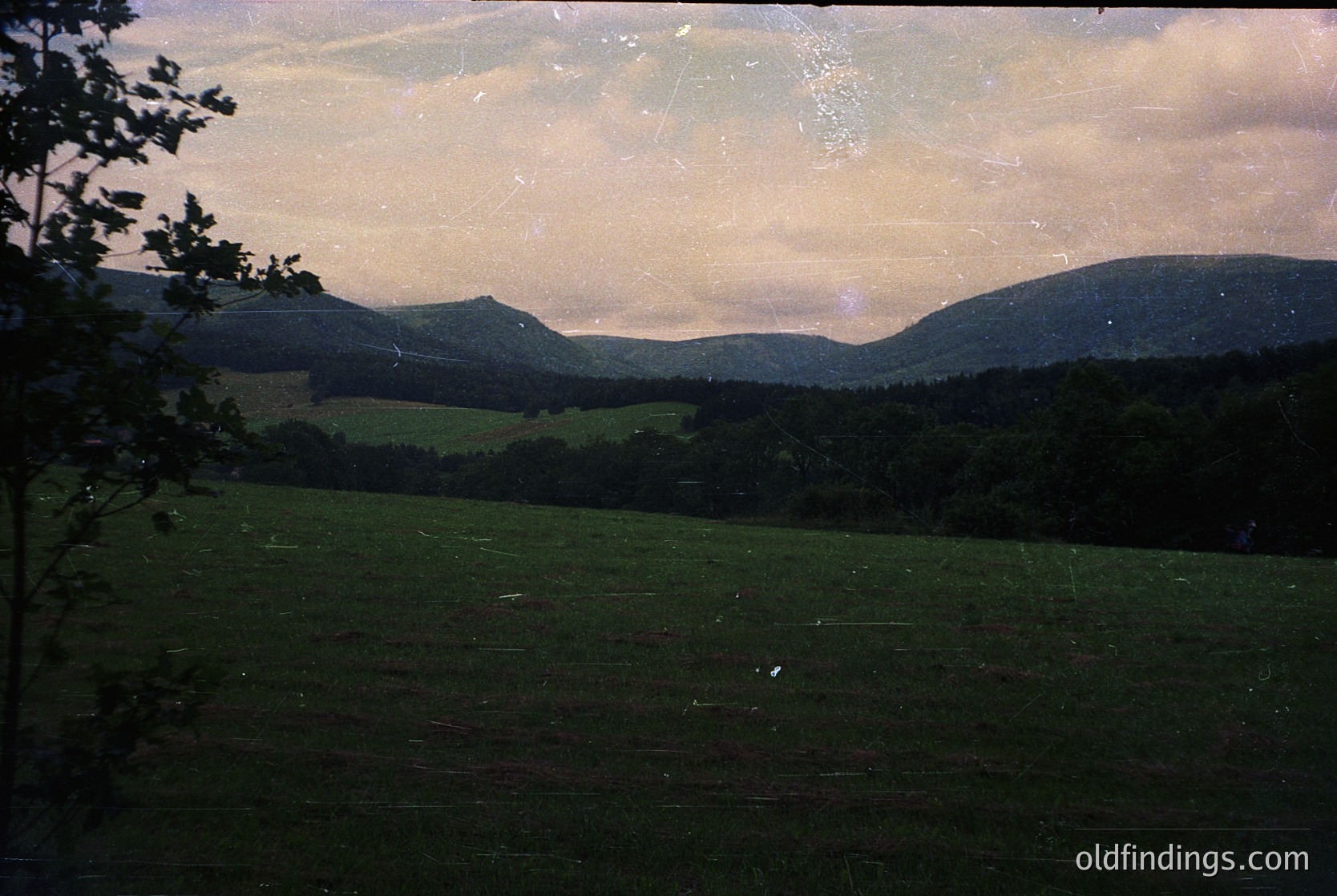 Vintage sepia-toned landscape featuring rolling hills, dense forests, and open meadows under soft, diffused light. Evidence of slight film damage and aging. Likely European countryside, mid-20th century.