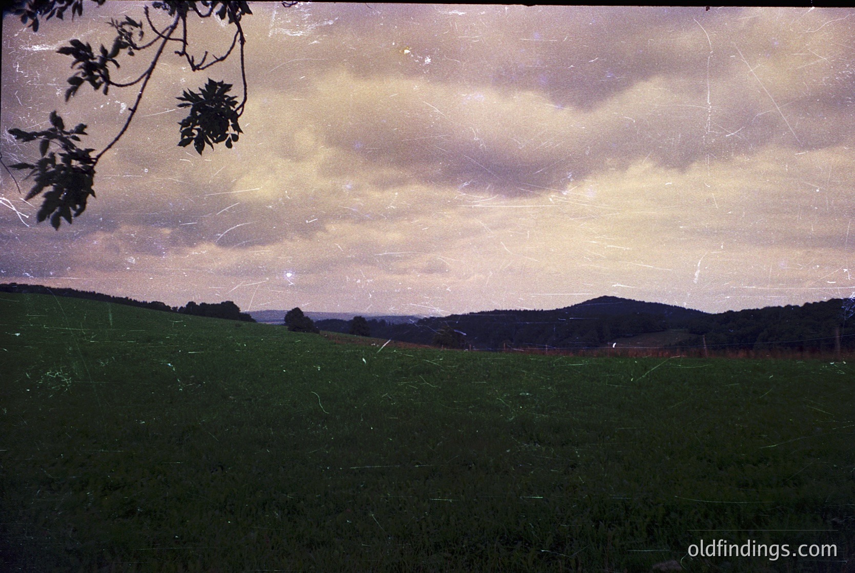 Vintage sepia-toned landscape featuring rolling green hills under a dramatic, cloud-laden sky. Partial tree branch frames left edge; distant forest line and horizon visible. Likely 19th–early 20th century rural European countryside.