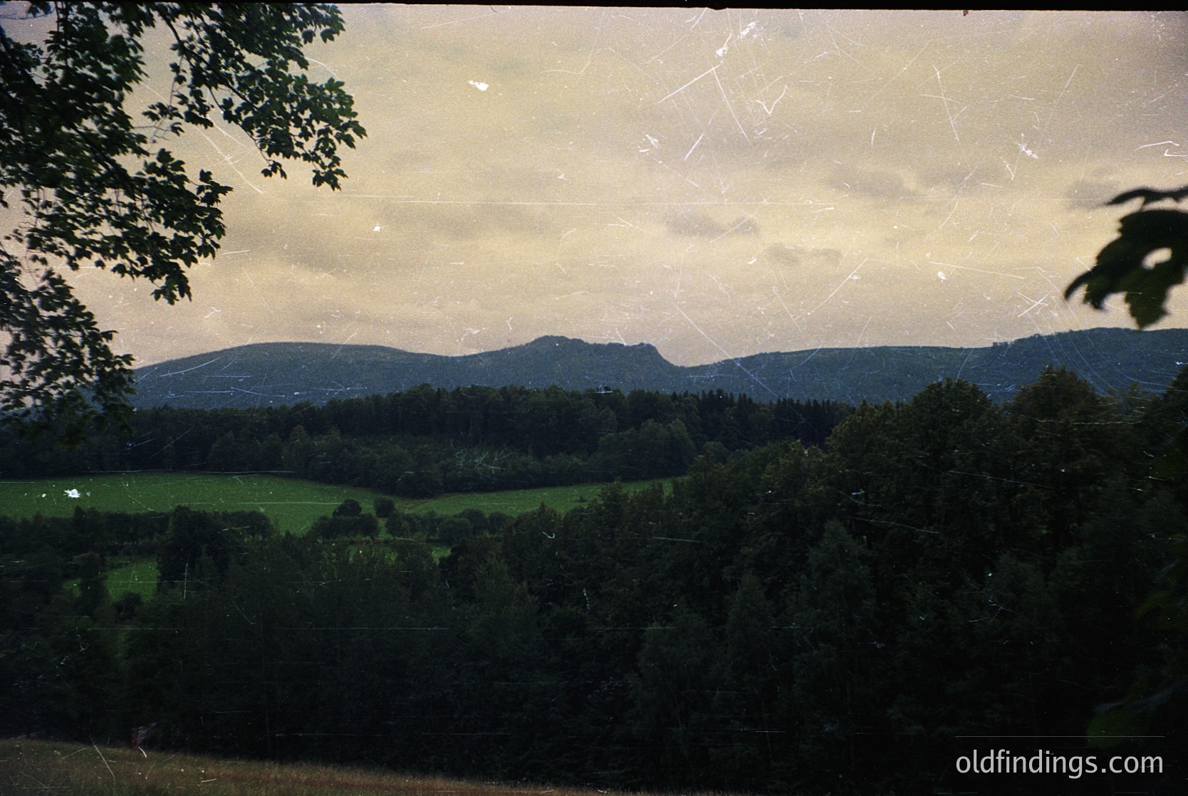 Vintage slide of lush valley framed by dense forest and rolling hills under soft, diffused light. Green meadows contrast with dark tree lines, suggesting rural European landscape. Film grain and sepia tone indicate 1970s–1980s era.
