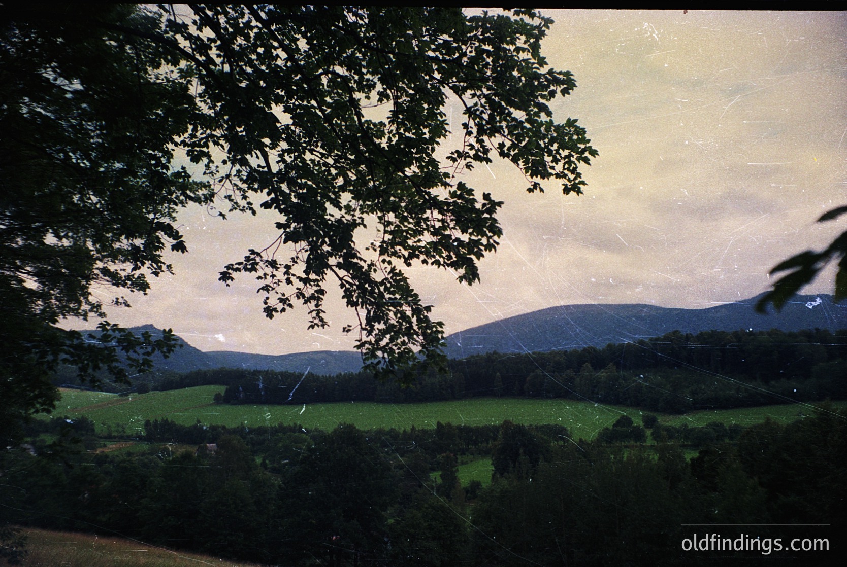 Vintage sepia-toned landscape featuring rolling green hills framed by dense foliage. Misty mountains in the distance under a soft, overcast sky. Likely captured in the mid-20th century. Ideal for nostalgic or nature-themed projects.