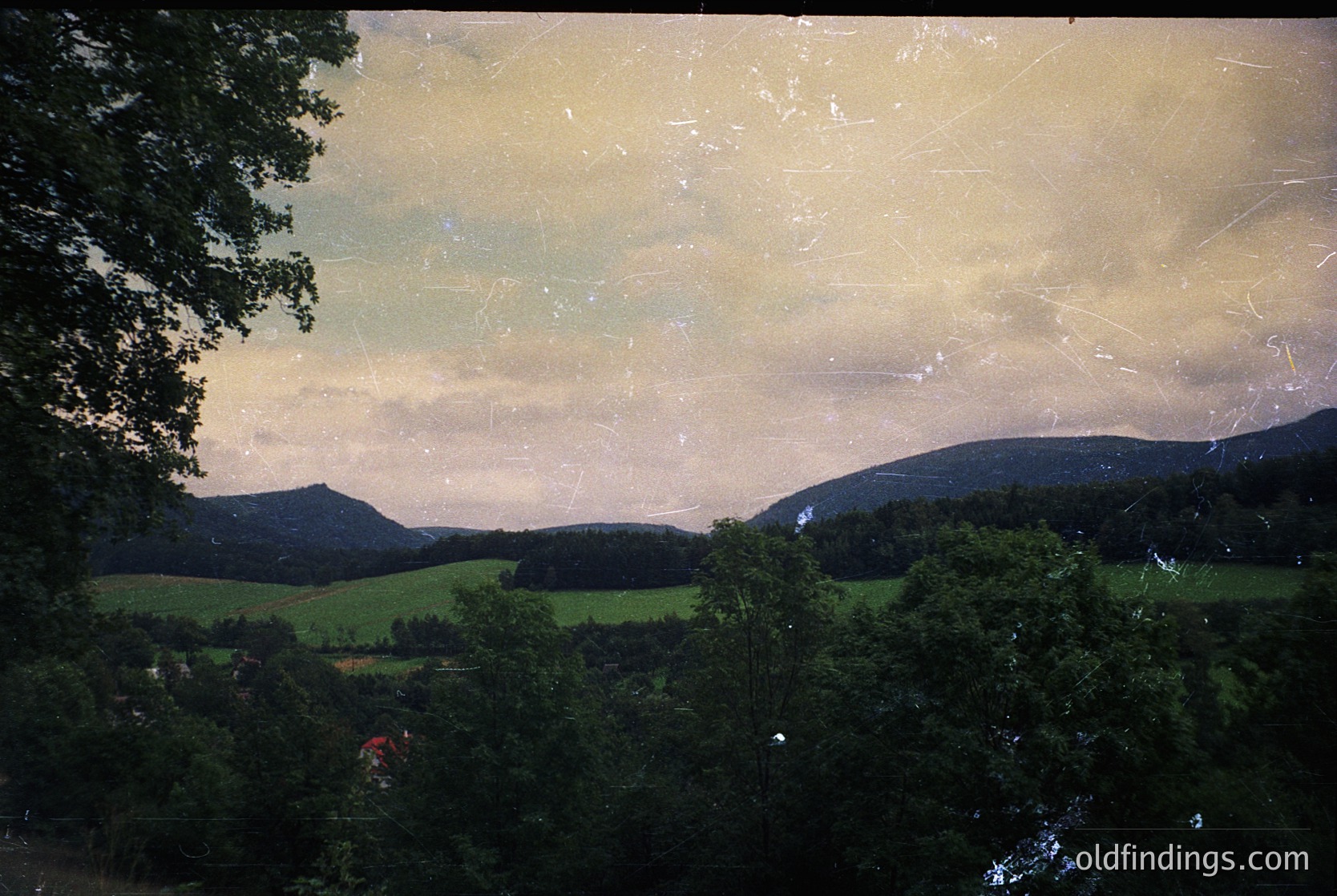 Vintage landscape photograph featuring rolling hills, dense forest, and a misty horizon. The faded, sepia-toned print suggests mid-20th century (1940s-1960s) and evokes rural European countryside aesthetics. Ideal for historical research or nostalgic design references.