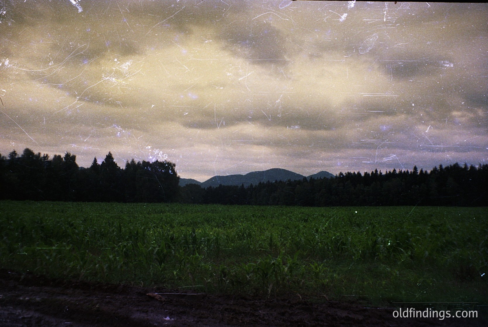 Vintage sepia-toned landscape showing lush green agricultural field under dramatic, cloud-laden sky. Distant forested ridge and misty mountains frame horizon. Likely 1970s–1980s rural European countryside. Ideal for historical research or nostalgic design references.