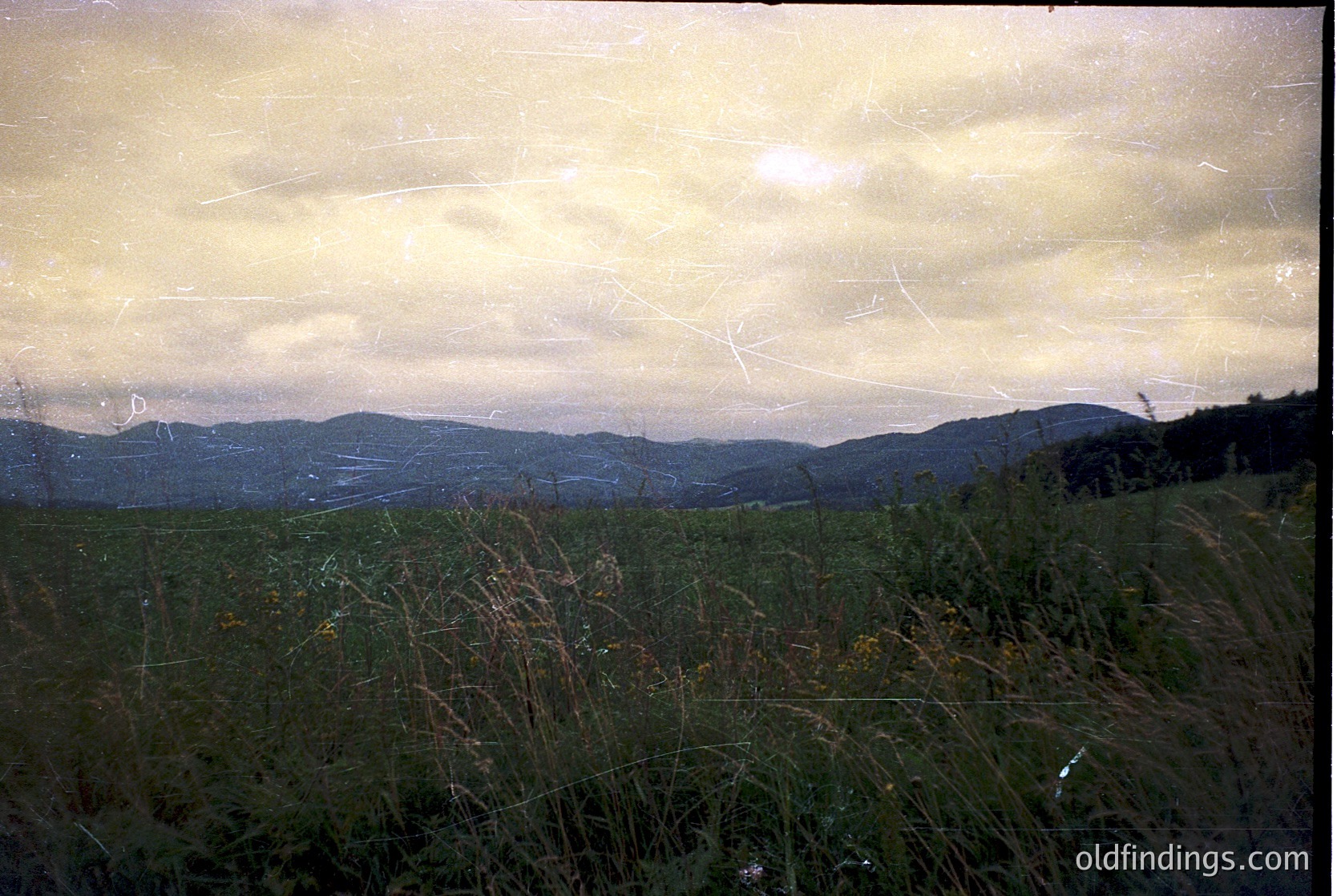 Vintage landscape shot featuring rolling hills under a dramatic, cloud-laden sky. Golden light filters through haze, creating a nostalgic, sepia-toned effect. Foreground grass appears slightly overgrown, suggesting rural or pastoral setting. Likely mid-20th century due to film grain and color saturation.
