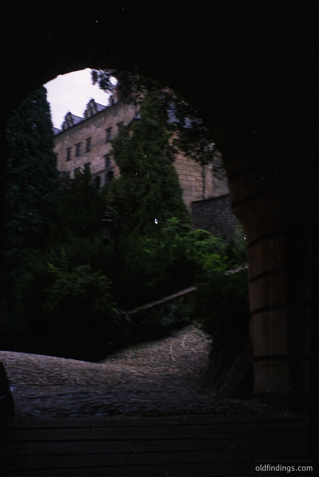 Moody nighttime shot of a multi-story stone castle perched on a hillside, partially obscured by dense foliage. The structure features arched windows and a central tower. Likely European, possibly Alpine or Carpathian region.