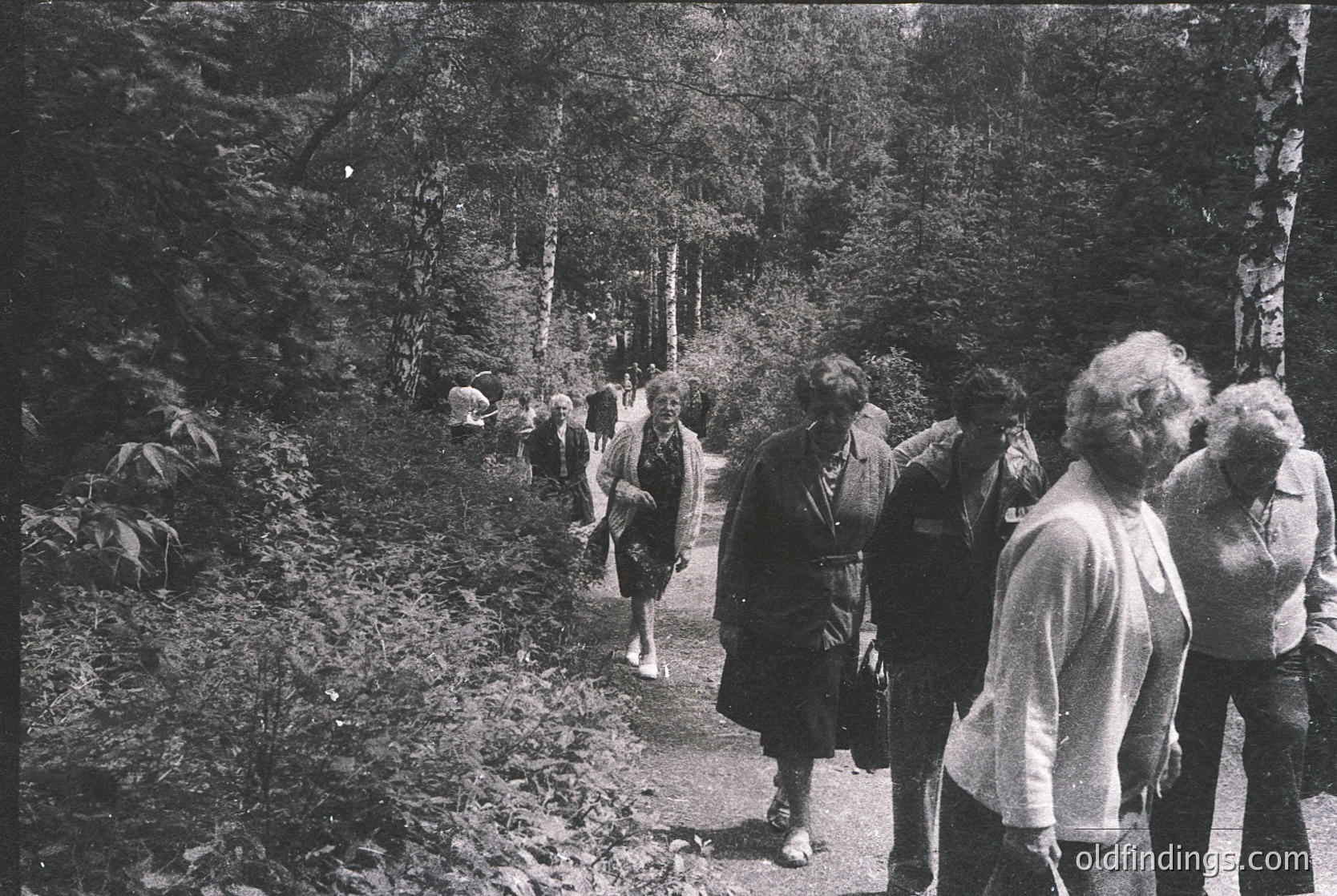 Mid-20th century group hiking on a forested trail, likely 1950s–1960s. Casual attire suggests leisure activity; dense foliage and rocky path indicate a natural setting. Composition captures motion and camaraderie among hikers.