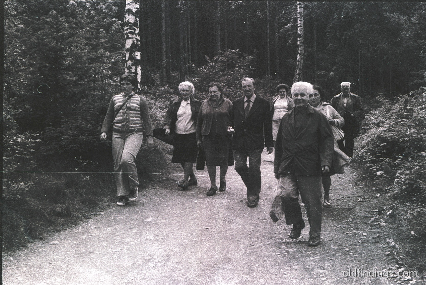 Group of seven adults walking on a dirt path through a forested area, 1970s. Casual attire suggests a leisurely hike or nature outing. Dense pine trees frame the scene, indicating a temperate climate.