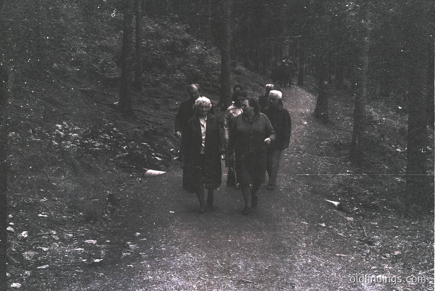 Black-and-white group hiking on a snow-dusted forest trail, likely mid-20th century. Six adults in winter coats and hats, one carrying a walking stick, moving through dense pine trees. Snow patches and fallen branches mark the path.