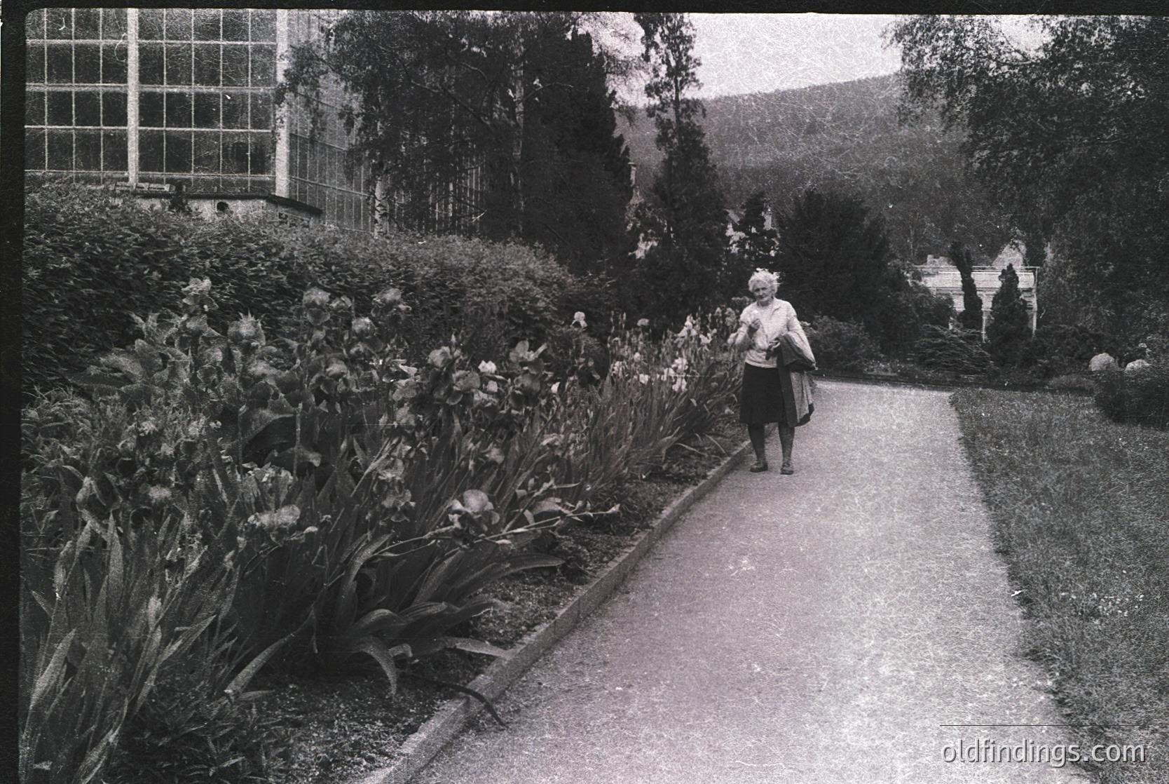 Mid-century garden path lined with lush foliage and blooming flowers, featuring a woman in a light dress and dark skirt walking toward a glass-enclosed structure.
