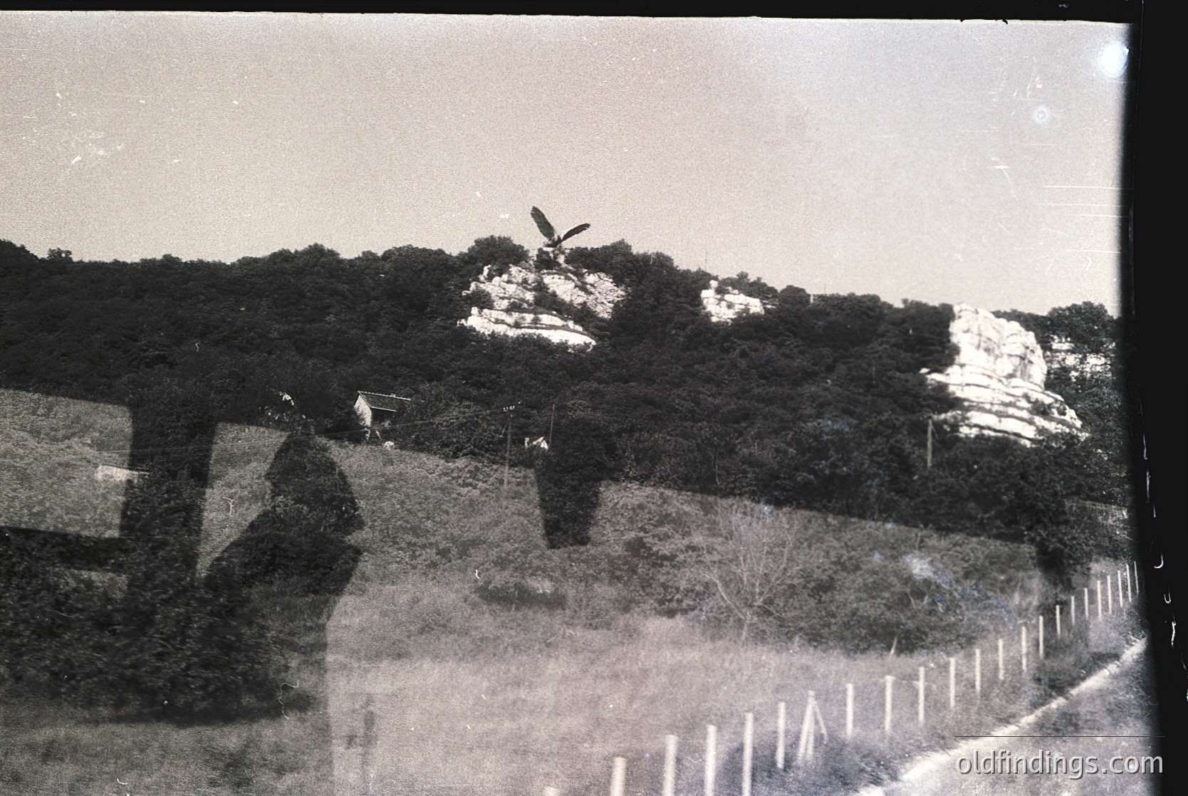 Vintage sepia-toned photo of a rural landscape featuring a lone bird perched atop a rocky outcrop. Dense forest and sparse vegetation dominate the midground, with a wooden fence and utility pole in the foreground. Likely early-to-mid 20th century, rural setting.