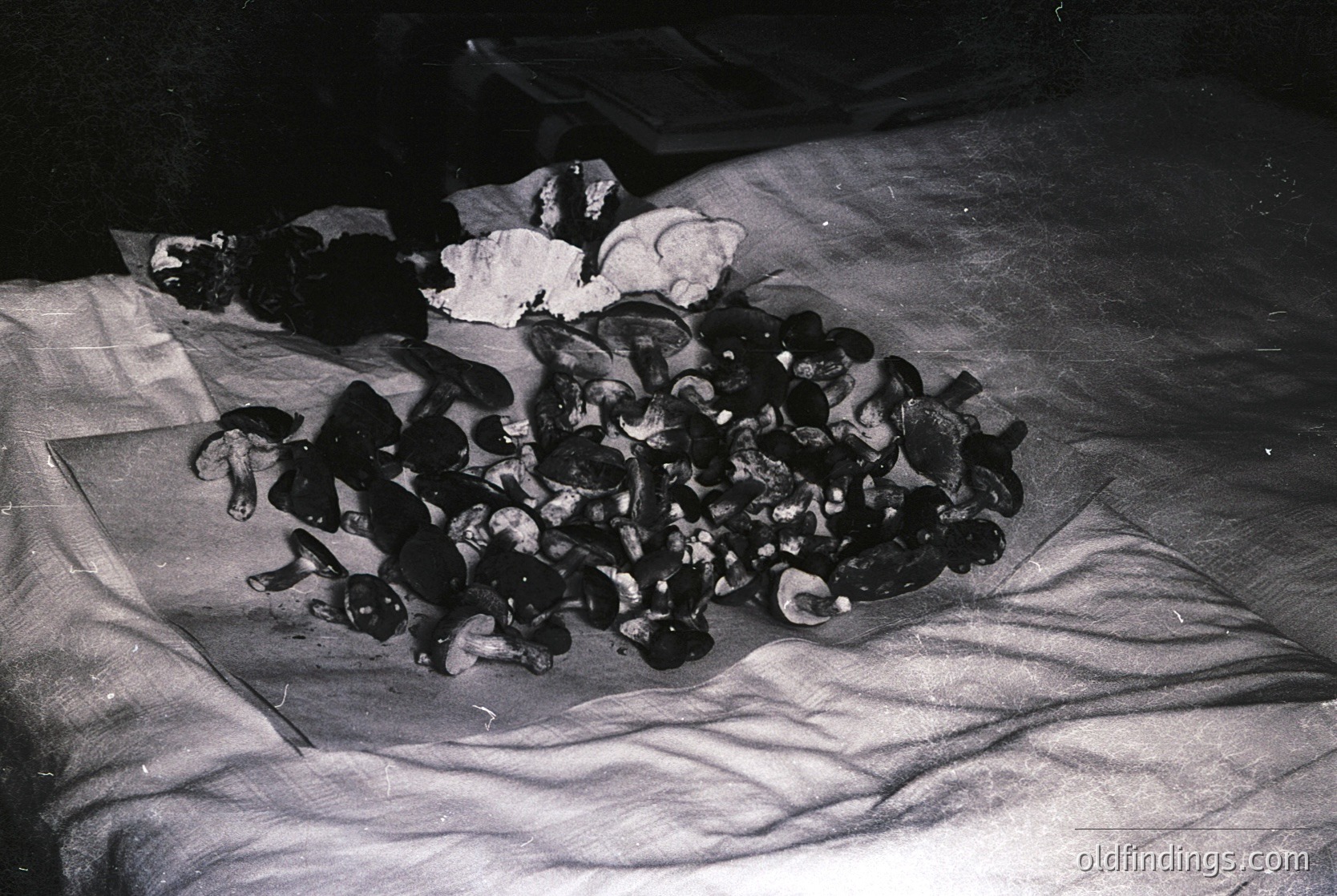 Stacked vintage leather shoes in disarray on a bed, likely mid-20th century. Possible post-war or transitional era domestic scene. --- *Note: Without clearer context, the exact time period remains approximate. The style suggests mid-20th century (1940s–1960s), but further research may refine the era.*