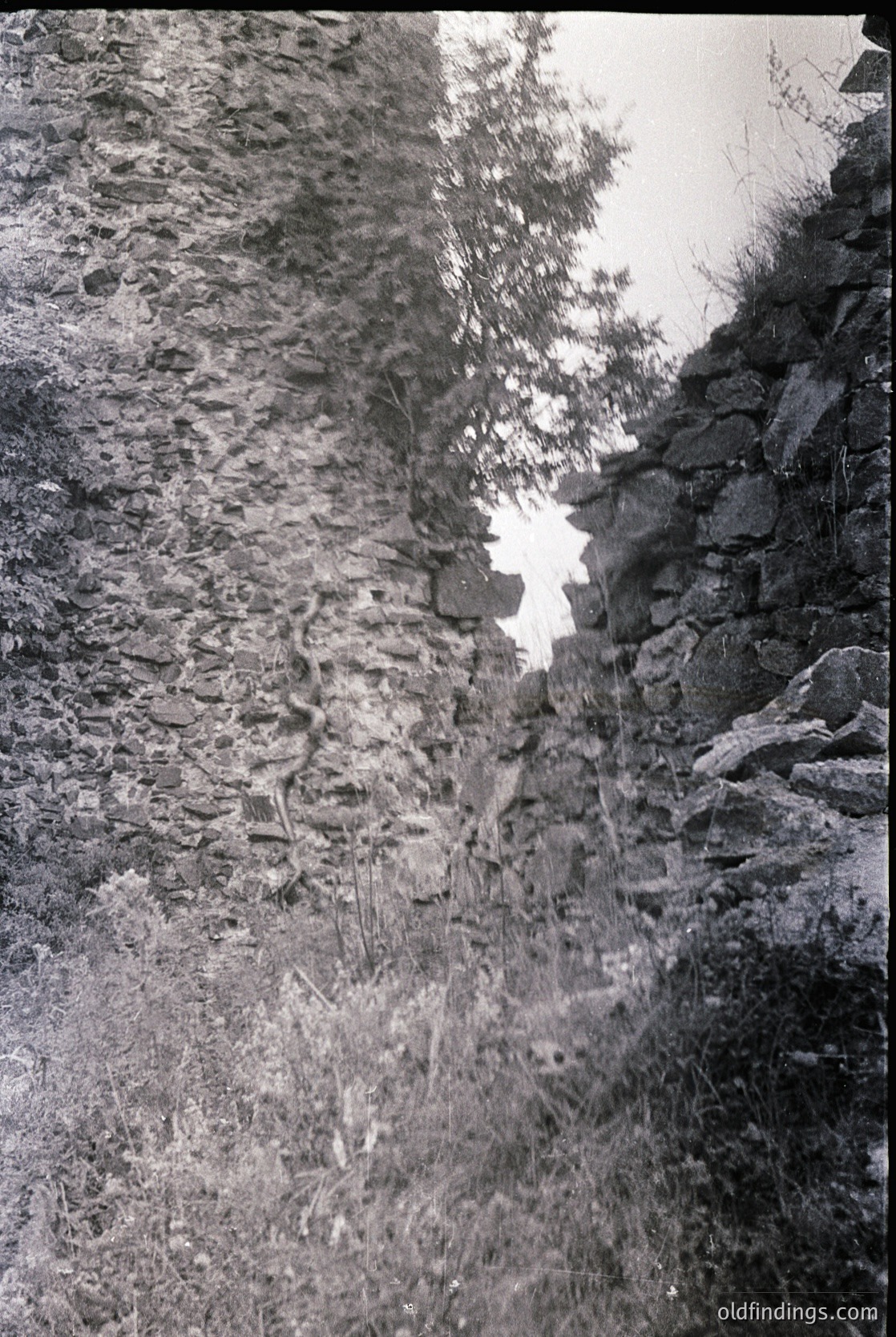 Black-and-white shot of rugged, weathered rock face with sparse vegetation. Vertical stone wall on right, likely a cliff or quarry edge. Distant tree silhouetted against light sky, suggesting natural or abandoned industrial site. Grainy texture indicates vintage film or scanning.