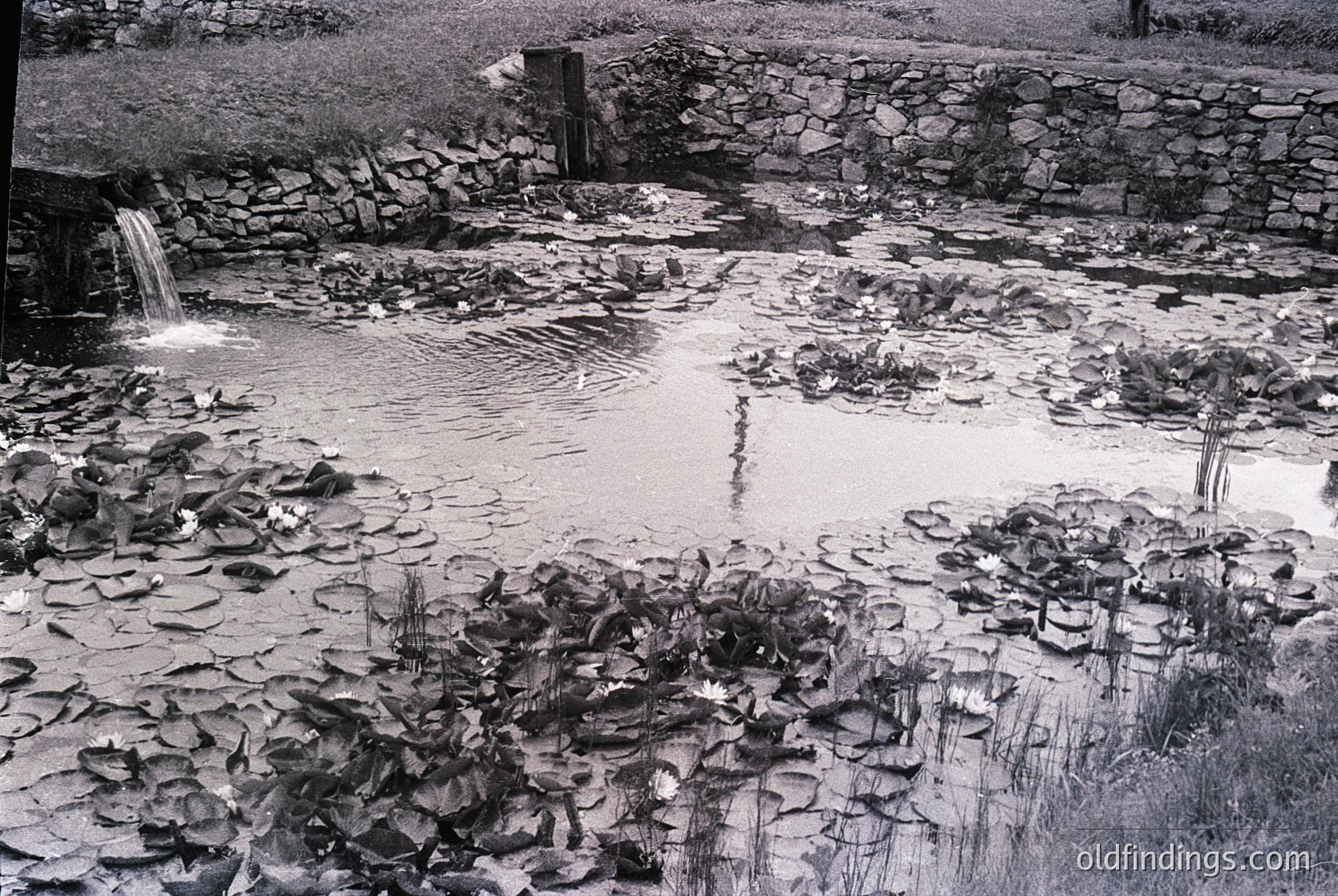 Black-and-white shot of a small, shallow waterfall cascading into a rocky pool surrounded by scattered stones and reeds. Stone retaining walls frame the scene, suggesting a constructed landscape. Likely mid-20th century due to monochrome and composition style.
