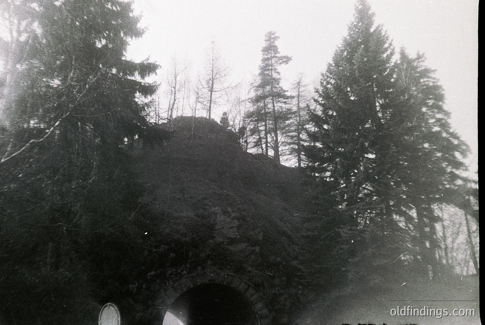 Black-and-white shot of a misty alpine forest tunnel, with dense conifers framing a rocky outcrop ahead. Fog obscures distant details, emphasizing texture and contrast in bark and stone. Likely mid-20th century due to grain and lighting.