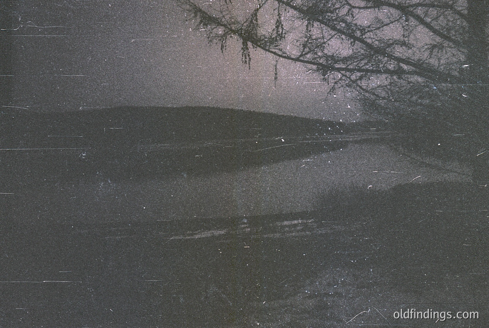 Monochrome winter scene featuring a snow-laden tree silhouette against a dark sky. Snowflakes fall across a reflective, wet surface, likely a road or pavement. Moody, atmospheric lighting enhances texture and depth.