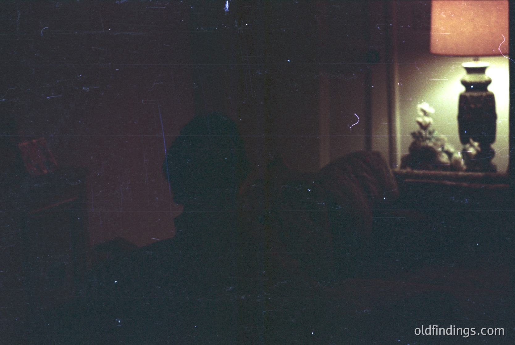 Vintage film grain captures a dimly lit interior through a frosted glass window. A silhouette of two figures stands near a table with a single lamp casting warm light. The lamp’s shadow reveals a vase with blurred floral arrangements. Likely mid-20th century domestic scene.