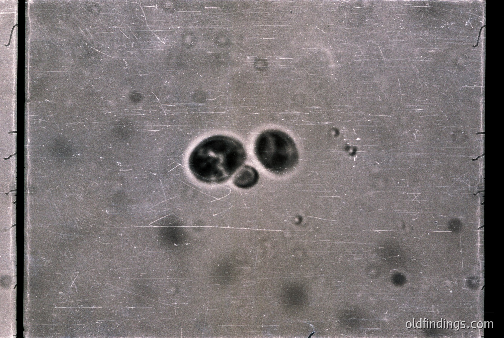 Vintage sepia-toned photograph showing two circular, dark marks on a textured surface, likely a damaged or aged glass plate. Evidence of scratches, stains, and light exposure artifacts suggests early photographic techniques. Potential historical context: early 20th-century scientific or artistic documentation.