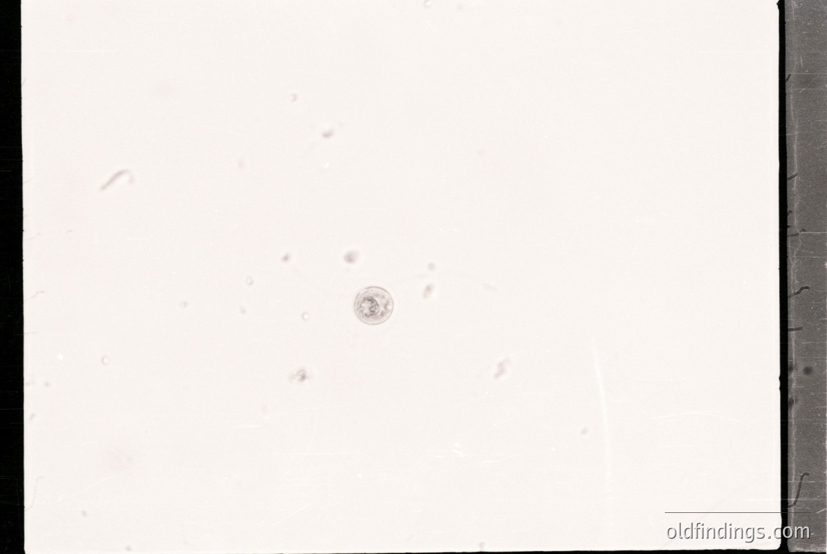 Vintage black-and-white photo with minimal visible detail—single faint circular mark near center, likely a small object or lens artifact. Underexposed, high-contrast, and grainy, suggesting early 20th-century film or damaged archival material. Potential use for abstract/artistic references or historical preservation studies.