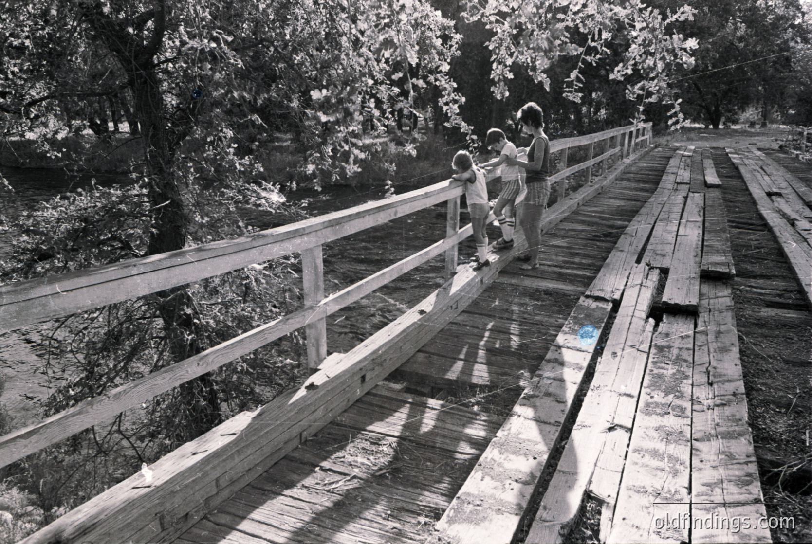 Mid-20th century wooden boardwalk with metal railings, reflecting sunlight on wet planks. Two adults and a child in casual 1960s attire—dress, trousers, and a light jacket—pose near the edge. Lush greenery and trees frame the scene, suggesting a park or nature reserve.