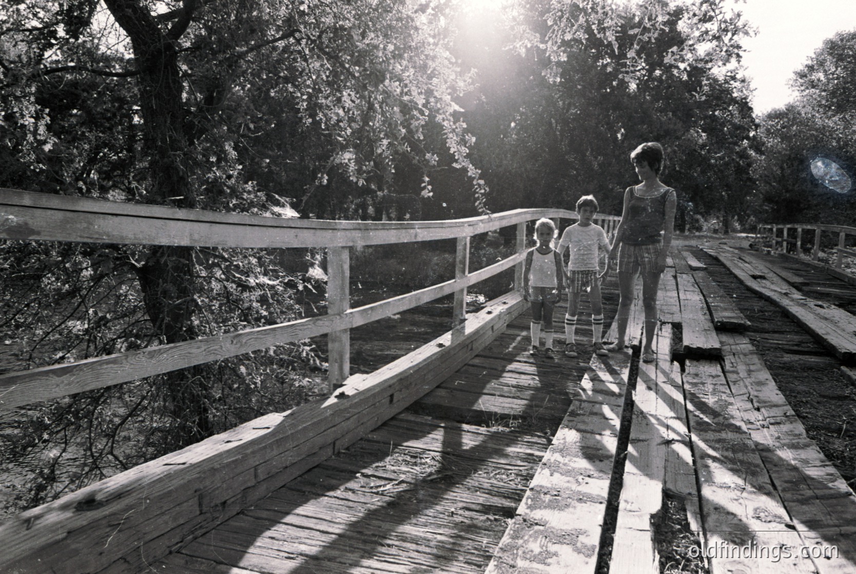 A family of three walks across a weathered wooden boardwalk in a lush, sunlit forest. The adult leads two children, all dressed in mid-20th-century clothing. Sunlight filters through dense foliage, casting dappled shadows on the planks.