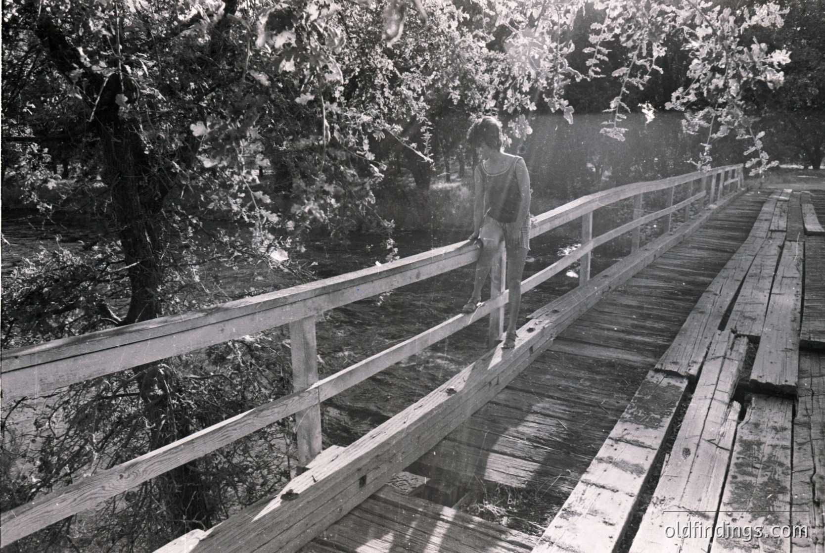 Black-and-white shot of a lone figure standing on a wooden boardwalk flanked by railings, surrounded by dense foliage. Sunlight filters through leaves, creating dappled light patterns. Mid-20th century style, likely or .