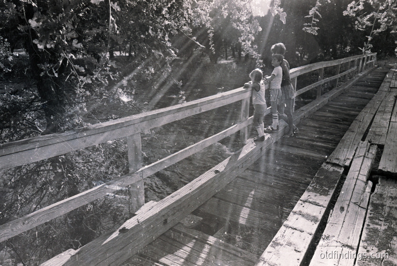 Two children stand on a wooden suspension bridge, sunlight filtering through dense foliage. Bridge railing and wooden planks reflect light. Likely mid-20th century outdoor setting.