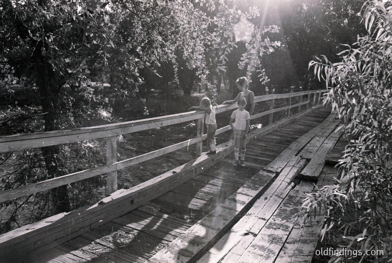 Mid-20th century black-and-white photo of two children on a wooden boardwalk through dense foliage, sun rays piercing canopy. Rustic wooden railings and planks suggest a rural or park setting.