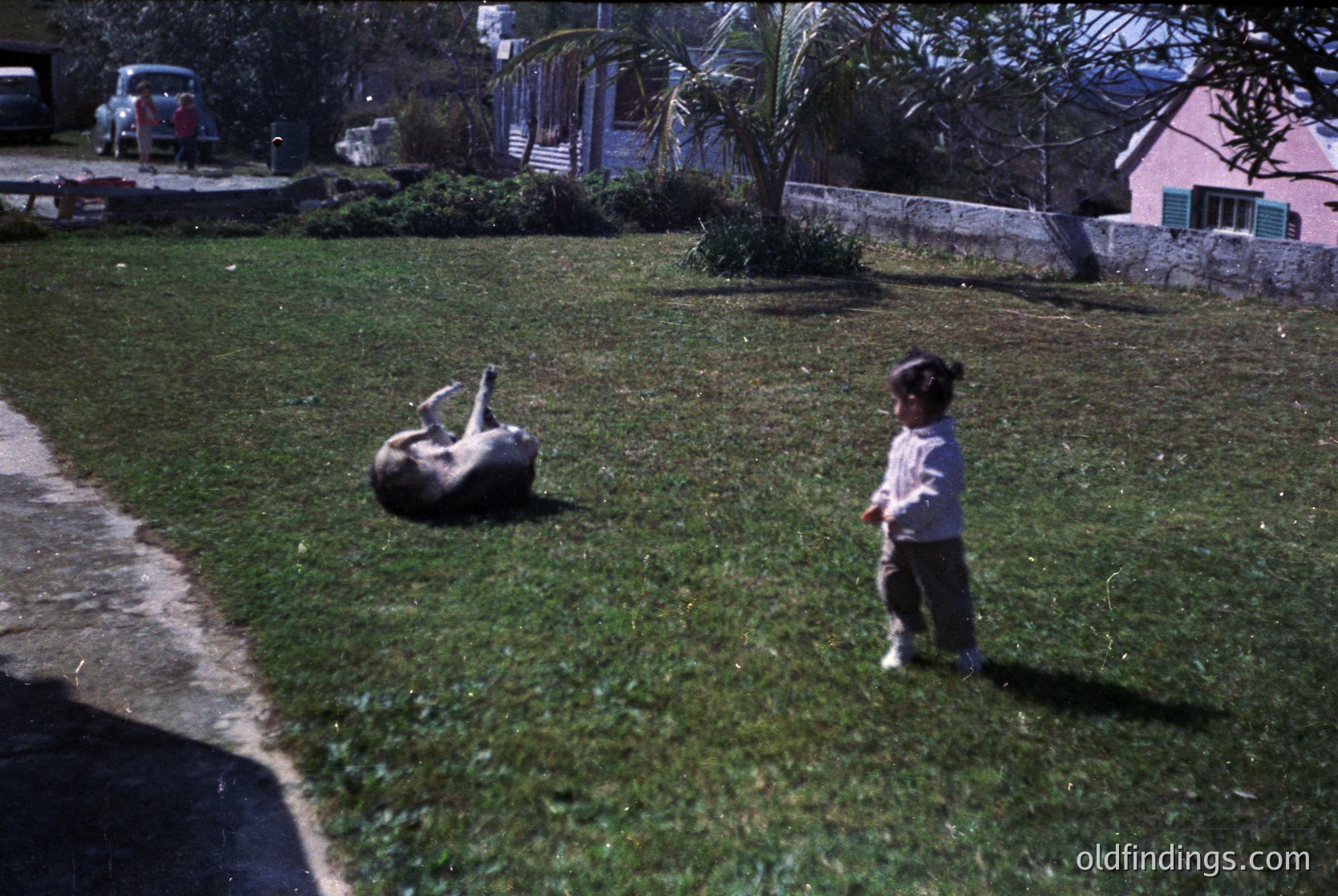 Vintage 1960s suburban scene: child in short-sleeved shirt stands on manicured lawn beside overturned metal barrel. Pink stucco house with green window frames and palm tree in background. Colorful pickup truck parked on driveway.