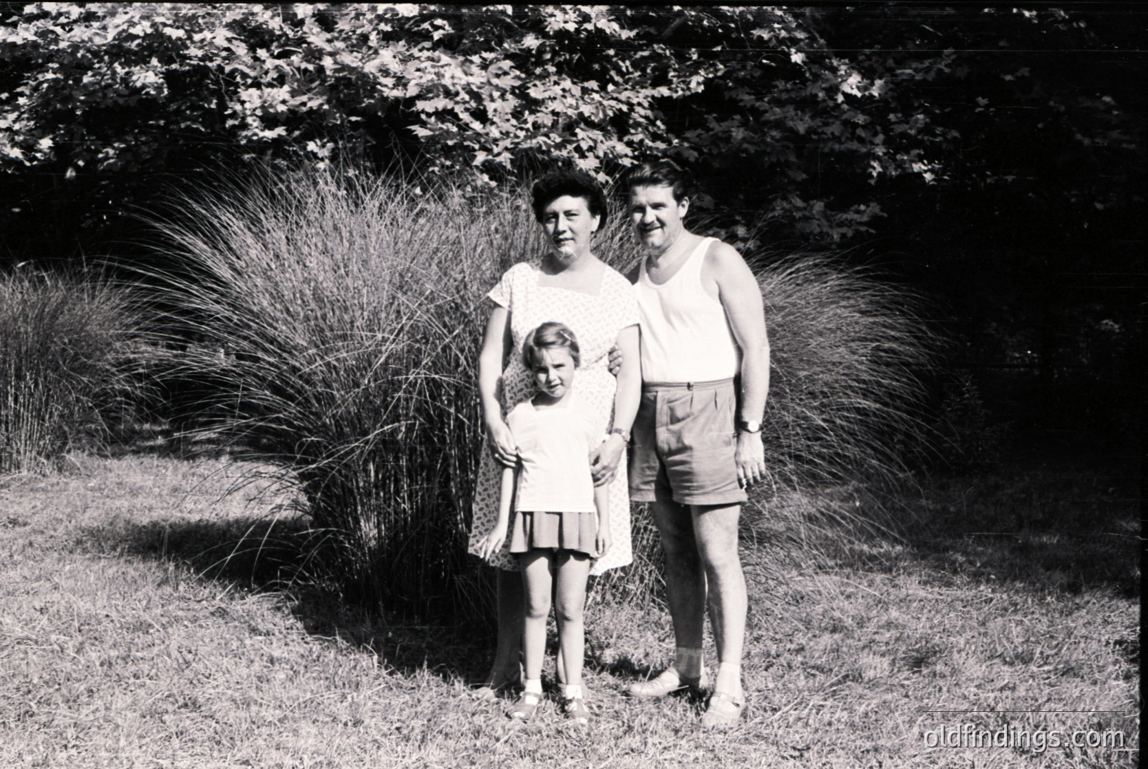Family portrait in mid-20th century outdoor setting, likely 1950s–1960s. Three individuals pose on grass beside ornamental grasses, suggesting a suburban or park-like environment. Woman wears a loose blouse and skirt; man in sleeveless shirt and shorts; child in a knee-length dress with a belt. Classic mid-century fashion and black-and-white film evoke nostalgia.